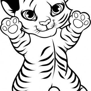 Tiger Drawing Easy at GetDrawings | Free download