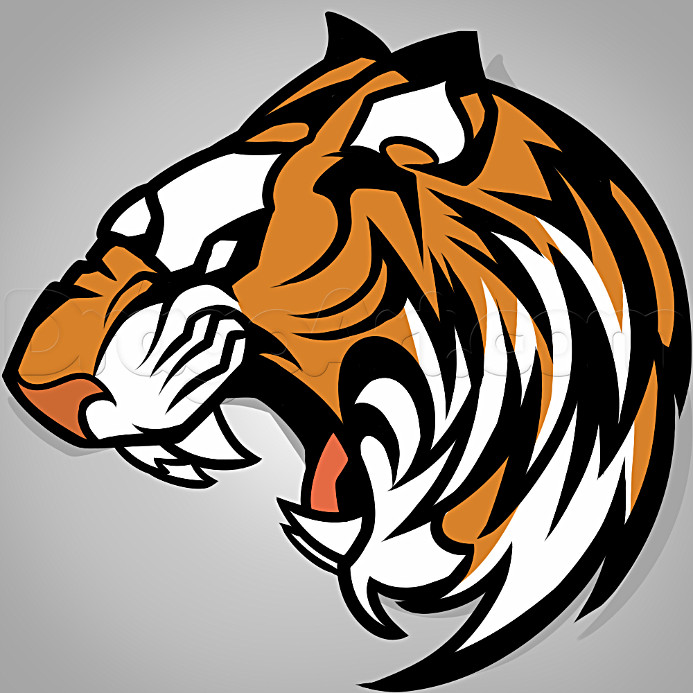 Tiger Drawing Easy at GetDrawings | Free download