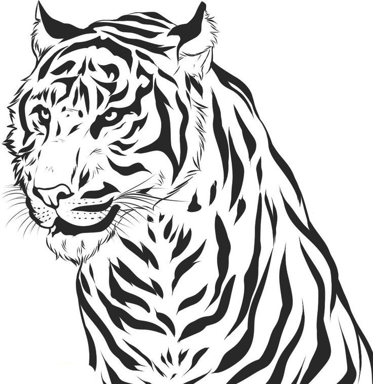 Tiger Head Drawing Easy at GetDrawings | Free download