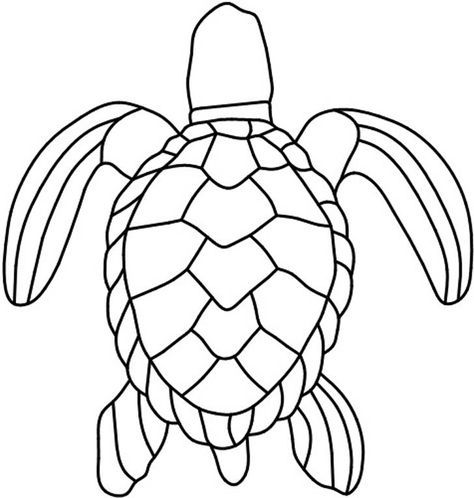 Turtle Shell Pattern Drawing