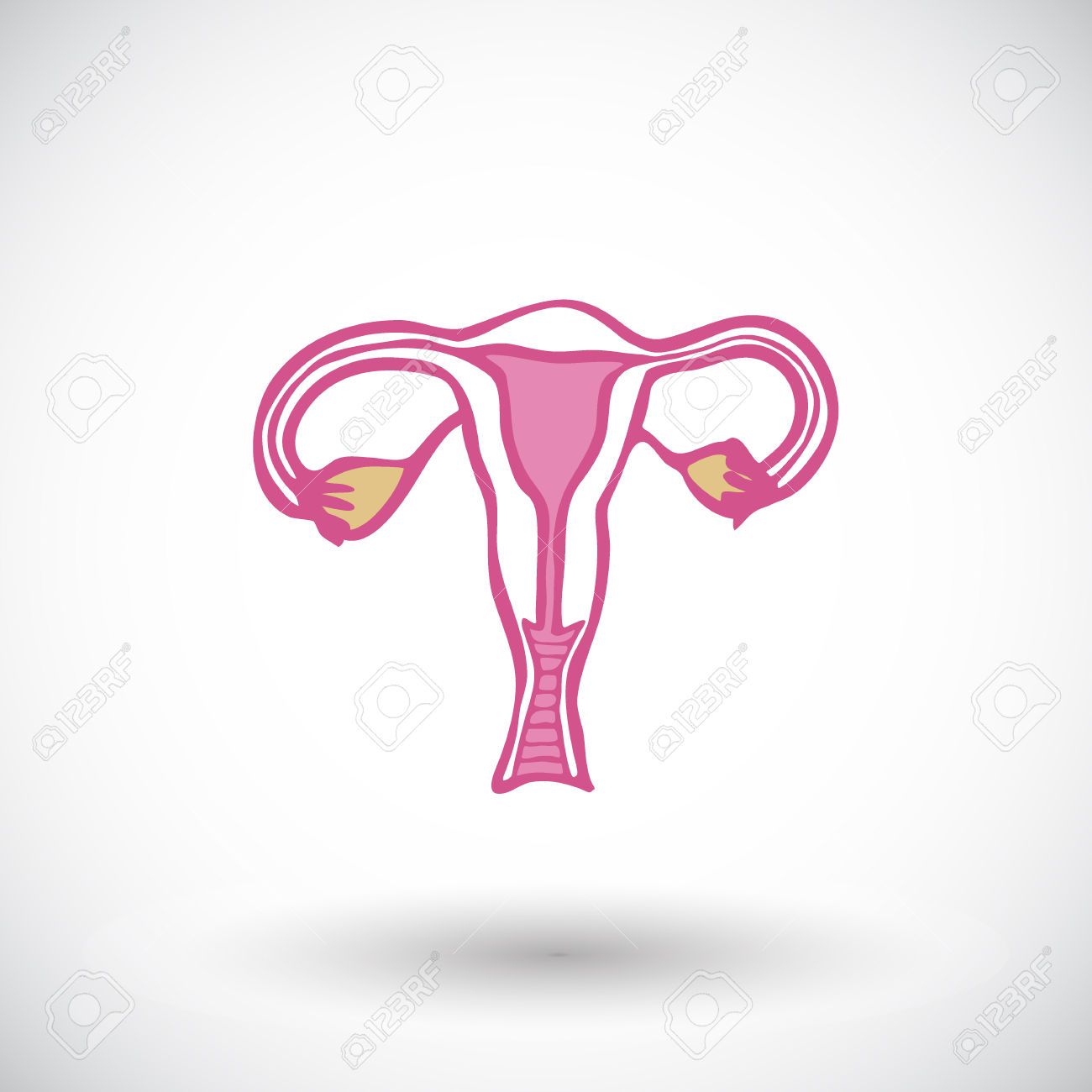 Uterus Drawing at GetDrawings | Free download