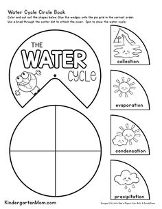 Water cycle homework help