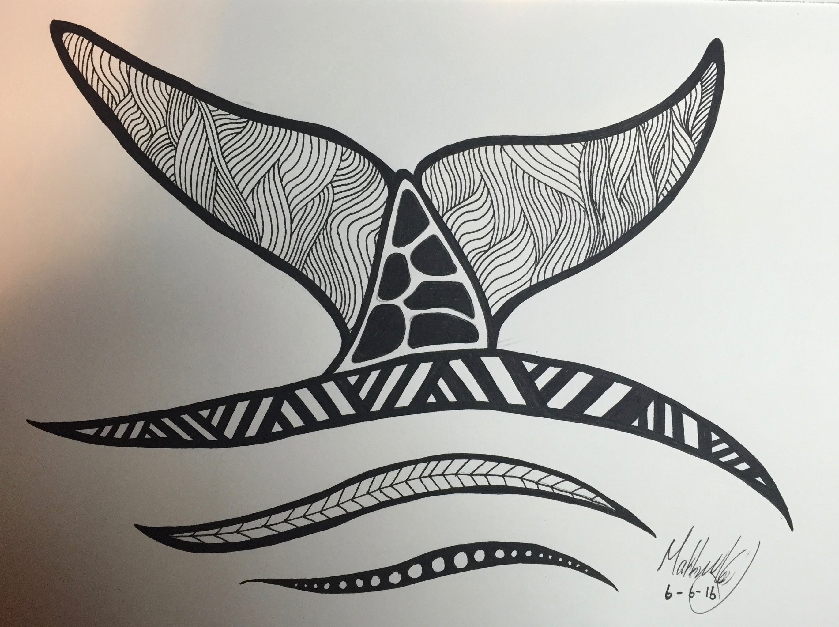 Whale Tail Drawing at GetDrawings | Free download