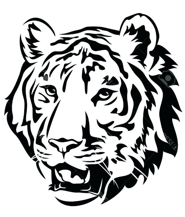 White Tiger Face Drawing at GetDrawings | Free download