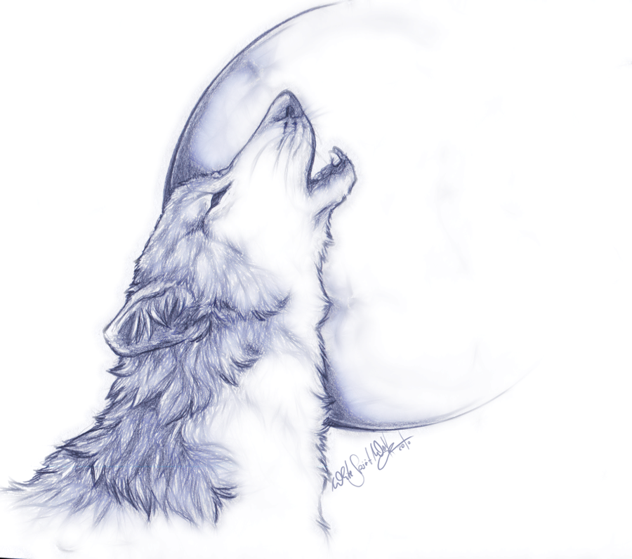 Top 93+ Images wolf head howling at the moon drawing Completed