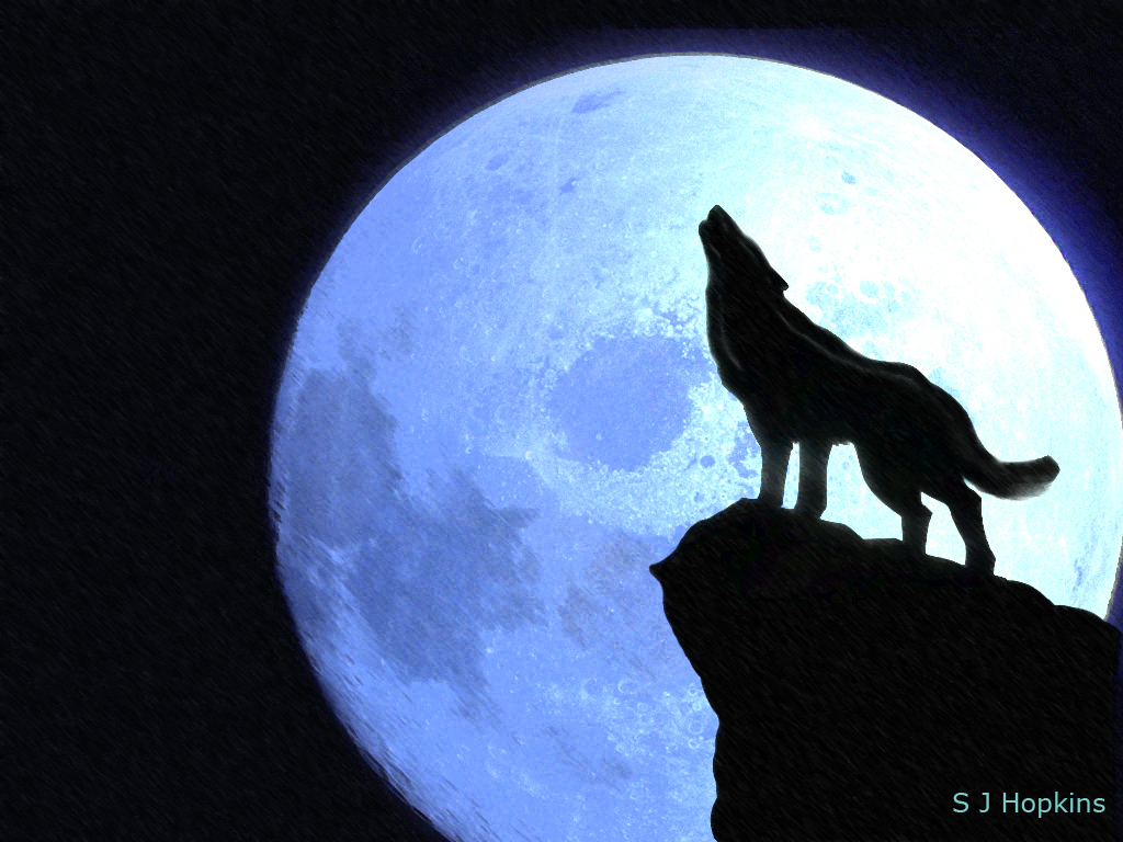 25+ Best Looking For Wolf Howling At The Moon Drawing Easy | The