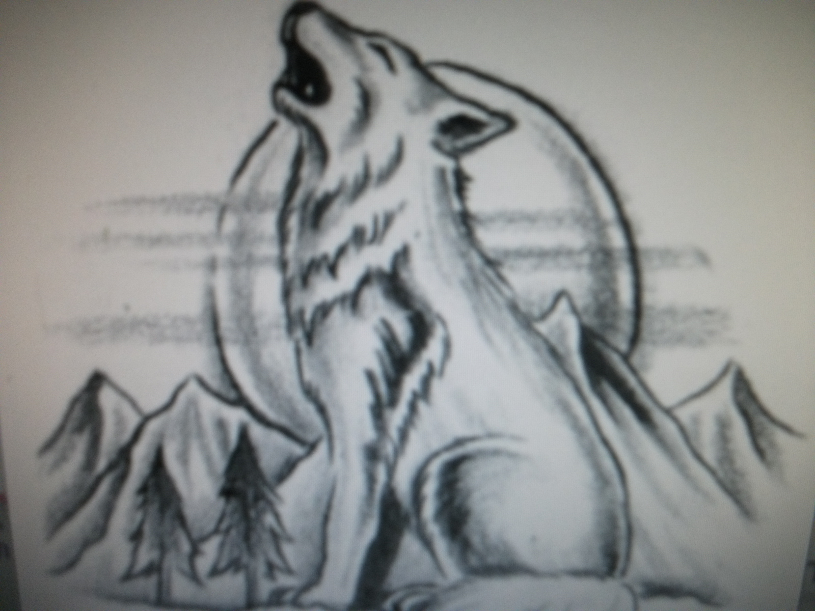 Wolf Howling At The Moon Drawing In Pencil at GetDrawings | Free download