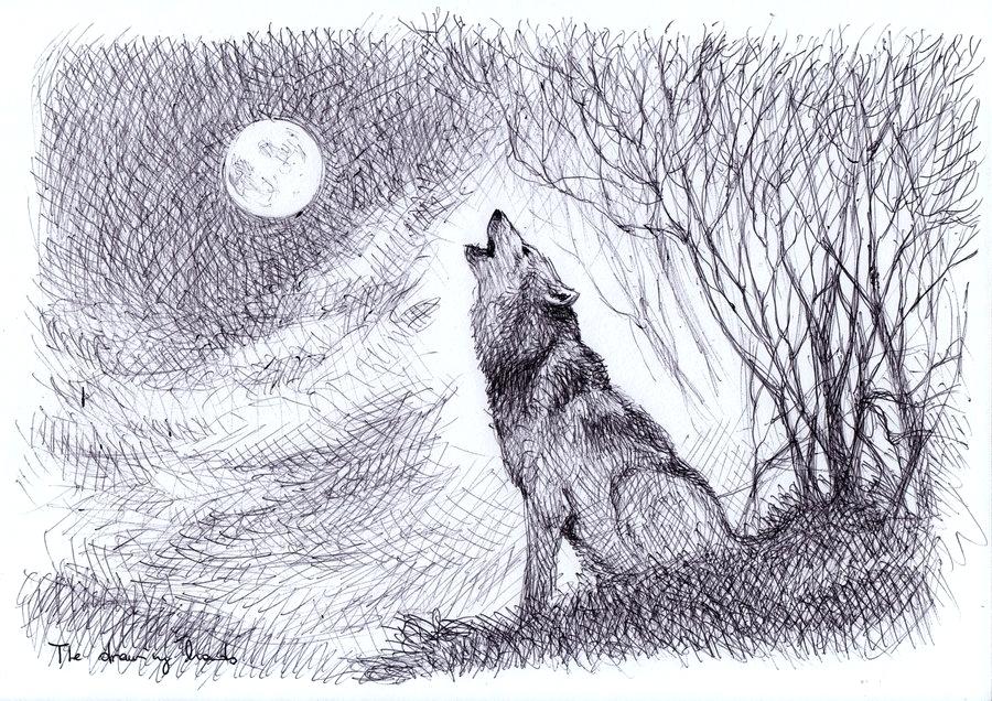 Wolf Howling At The Moon Drawing In Pencil at GetDrawings