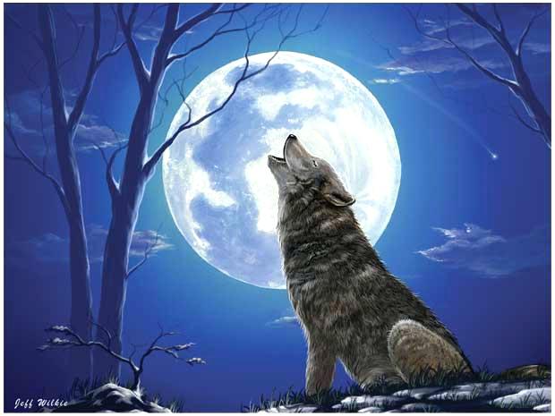 howling wolf moon drawing