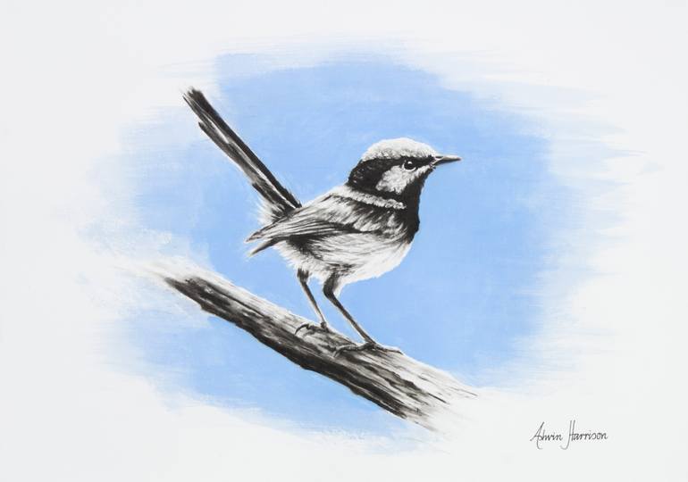 Wren Drawing at GetDrawings | Free download