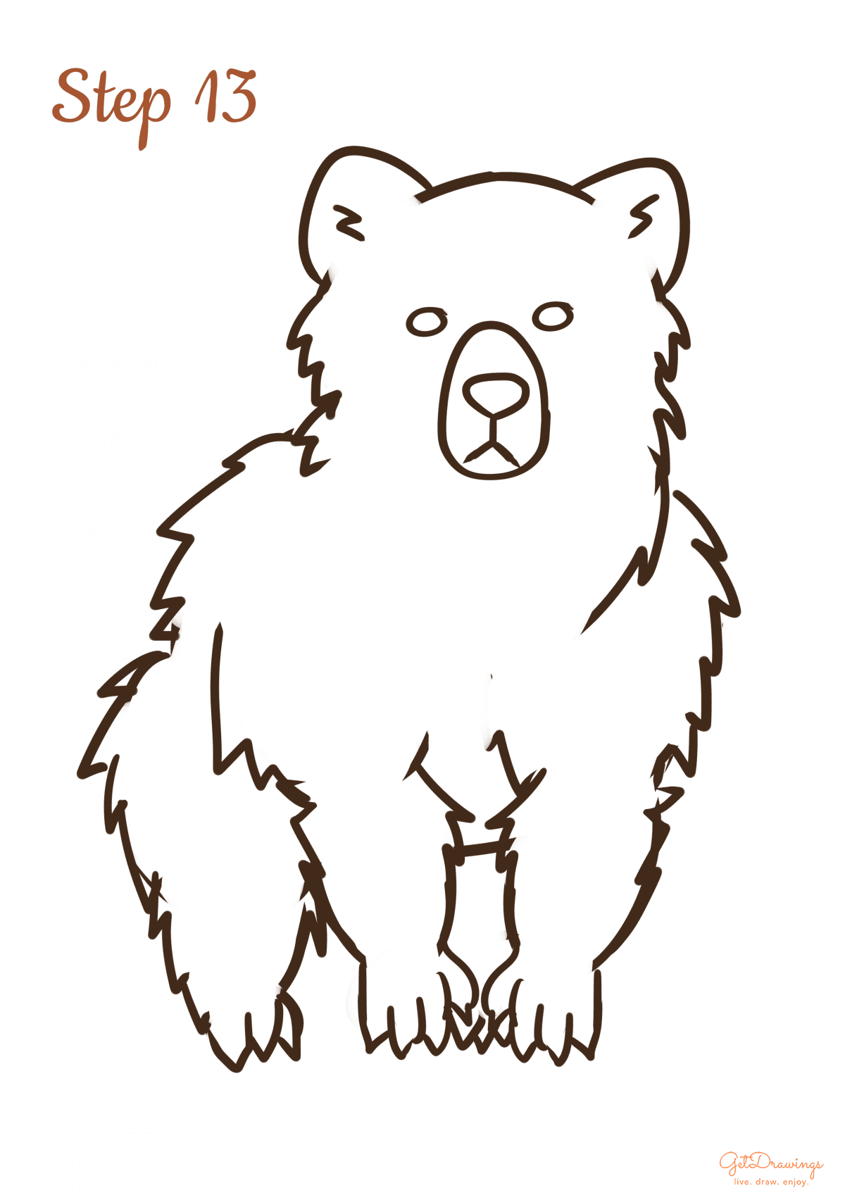 How to draw a Bear step by step