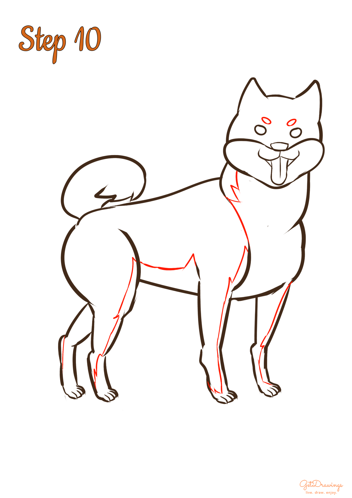 How to draw a Shiba Inu dog?