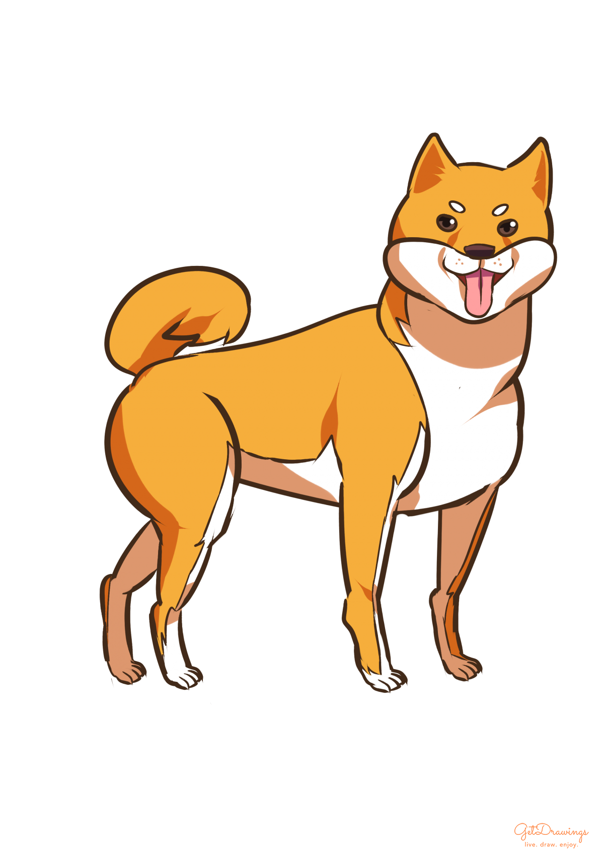 How to draw a Shiba Inu dog?