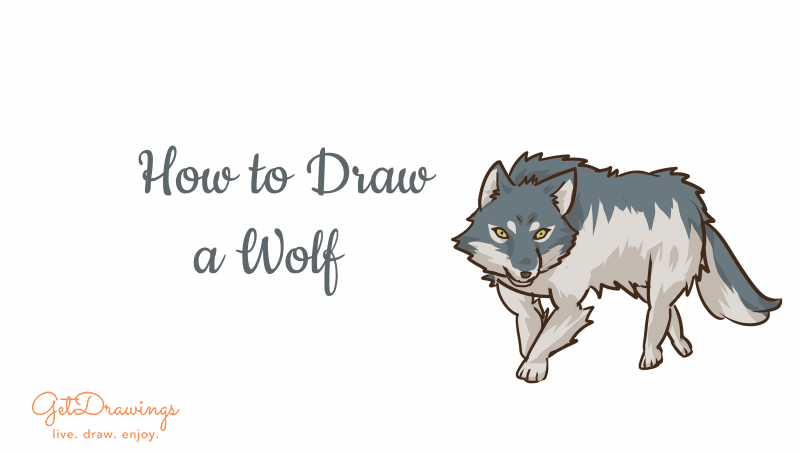 How to draw a Wolf step by step