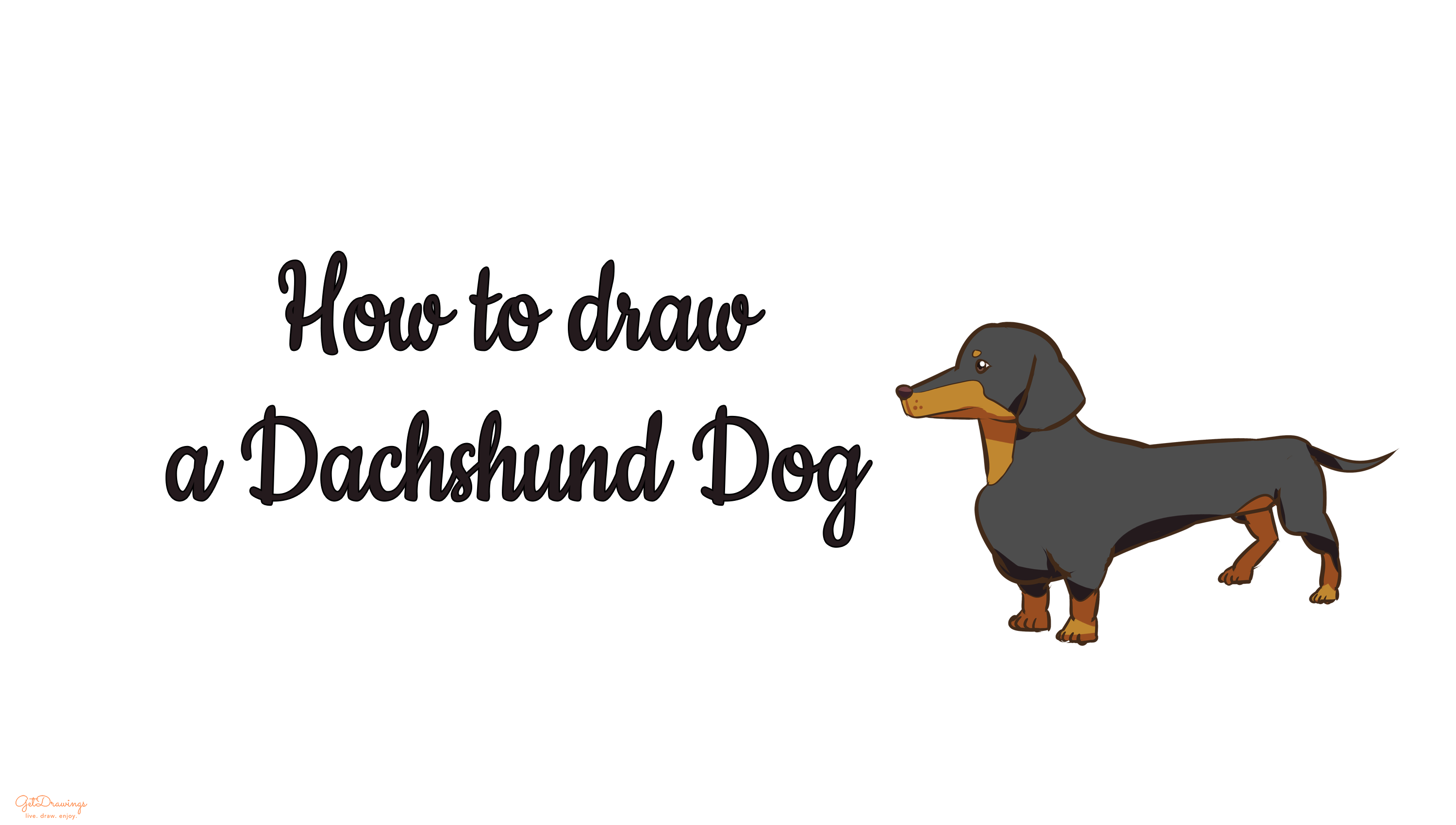 How to draw a Dachshund dog?