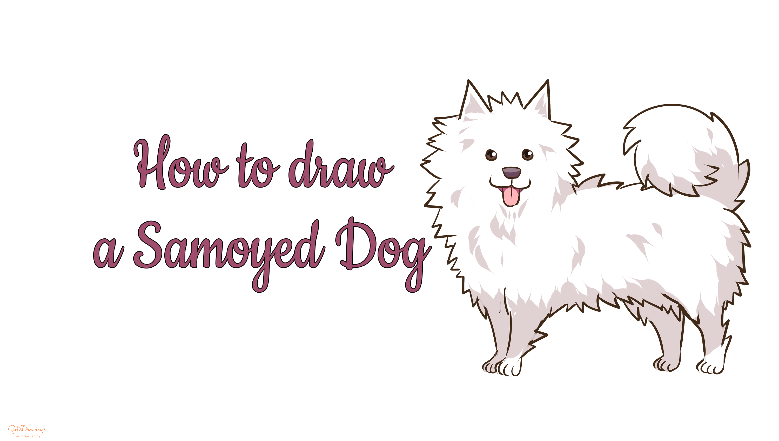 How to draw a Samoyed Dog?
