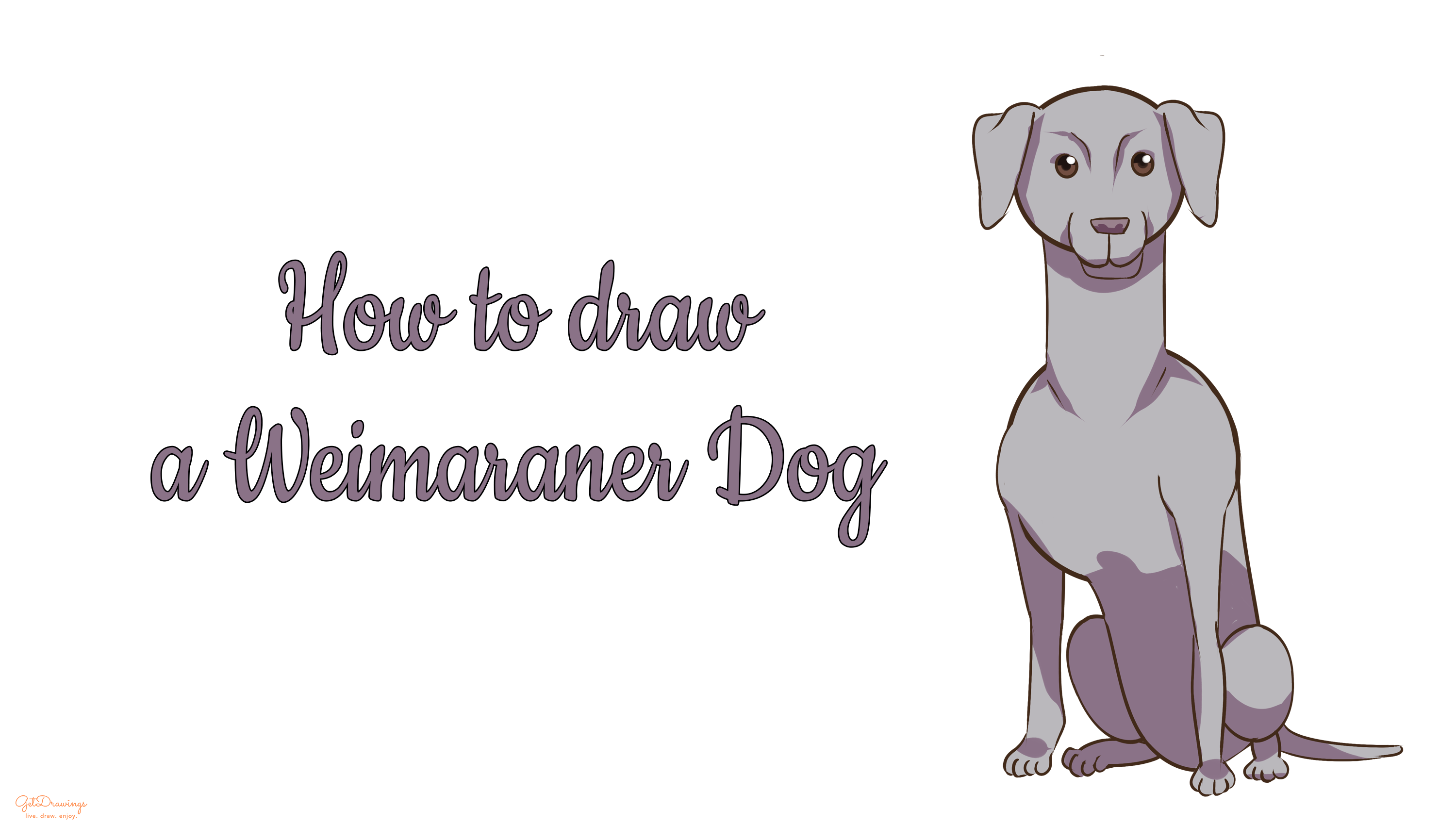 How to draw a Weimaraner dog?