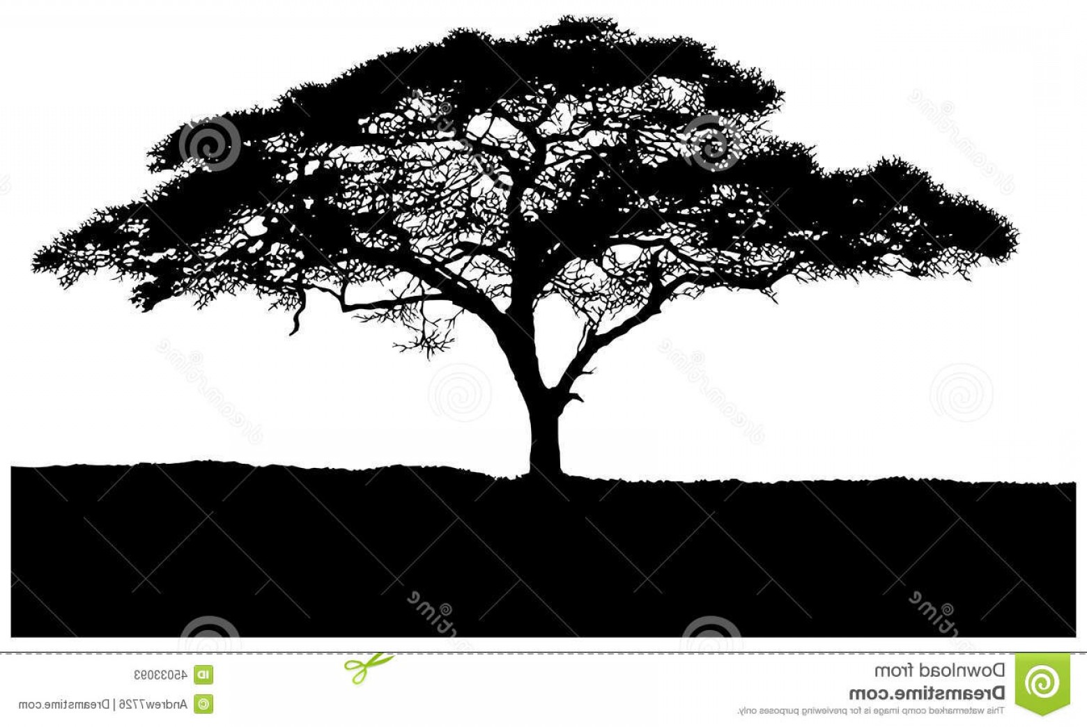 Acacia Tree Vector at GetDrawings | Free download