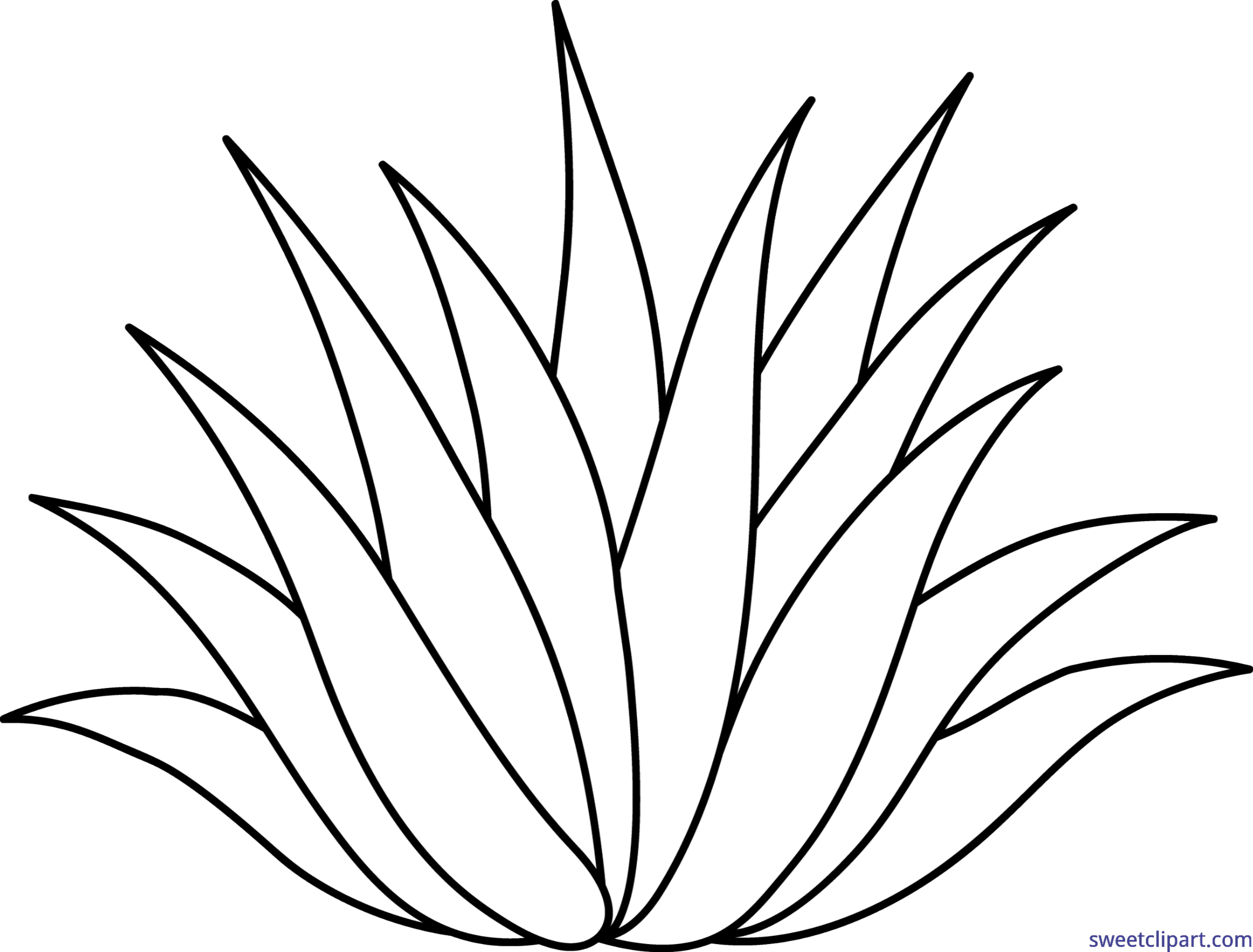 The Best Free Agave Vector Images. Download From 68 Free Vectors Of 