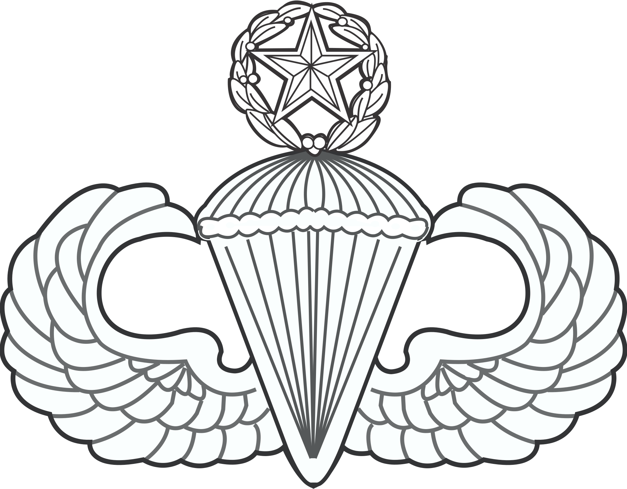 military freefall badge no background