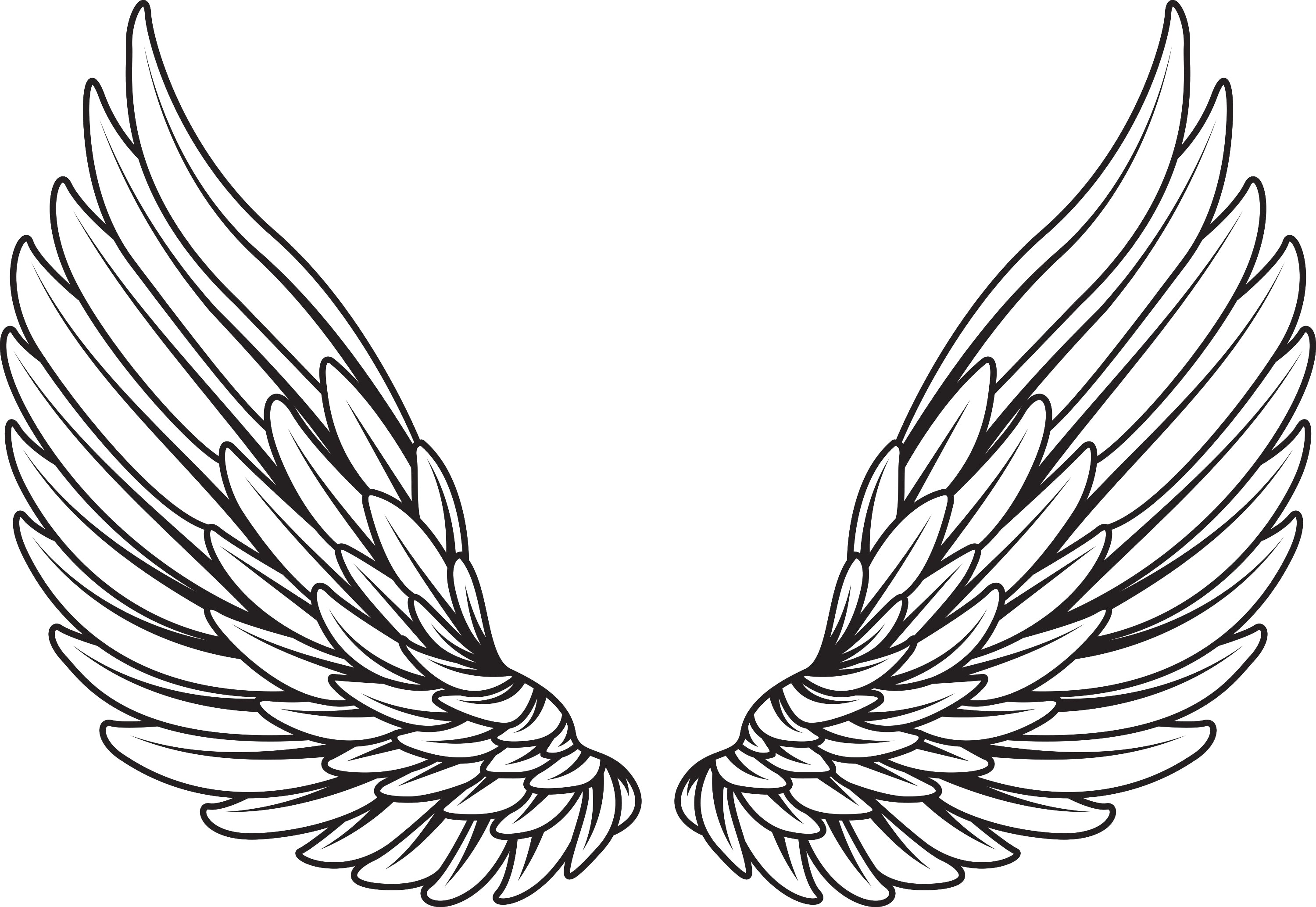 Angel Wings Vector at GetDrawings Free download