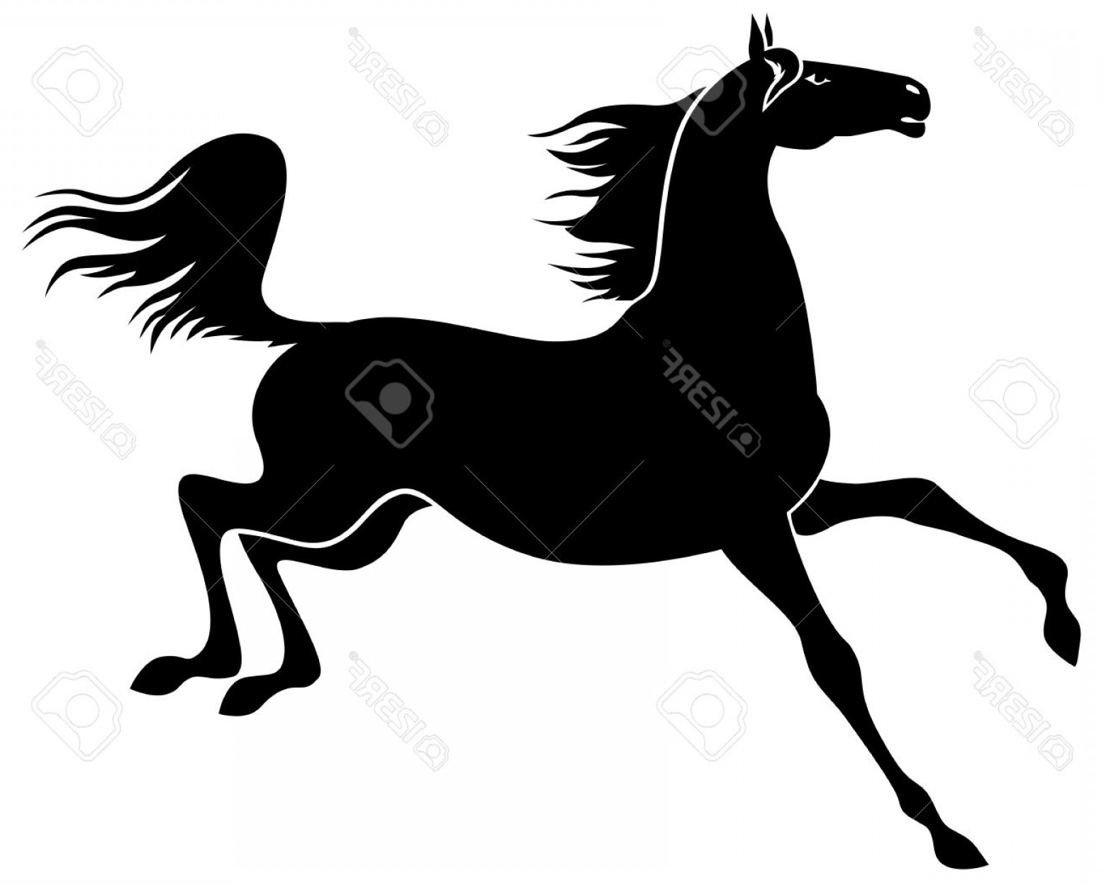 Arabian Horse Vector At Getdrawings 