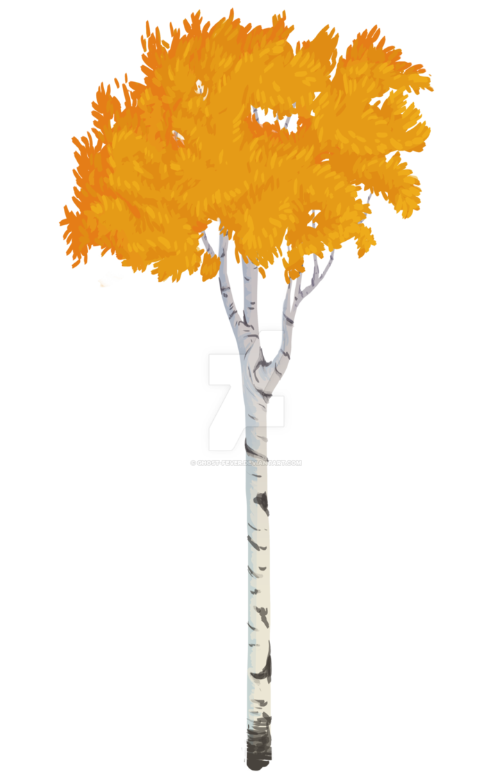 Aspen Tree Vector at GetDrawings Free download