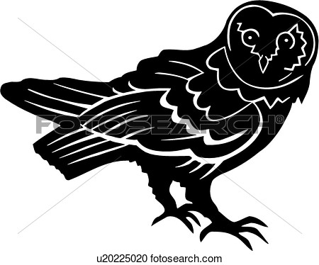 Barn Owl Vector At Getdrawings Free Download