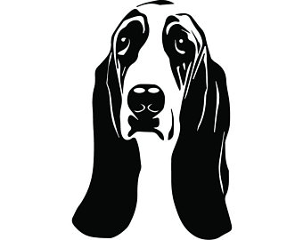 The best free Basset vector images. Download from 40 free vectors of