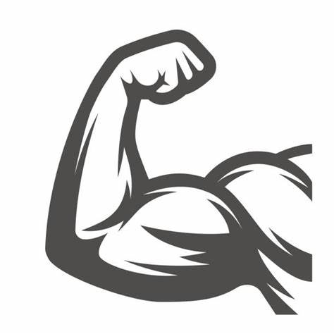 Bicep Vector at GetDrawings | Free download