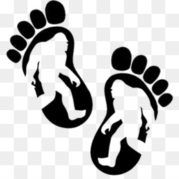 The best free Bigfoot vector images. Download from 89 free vectors of