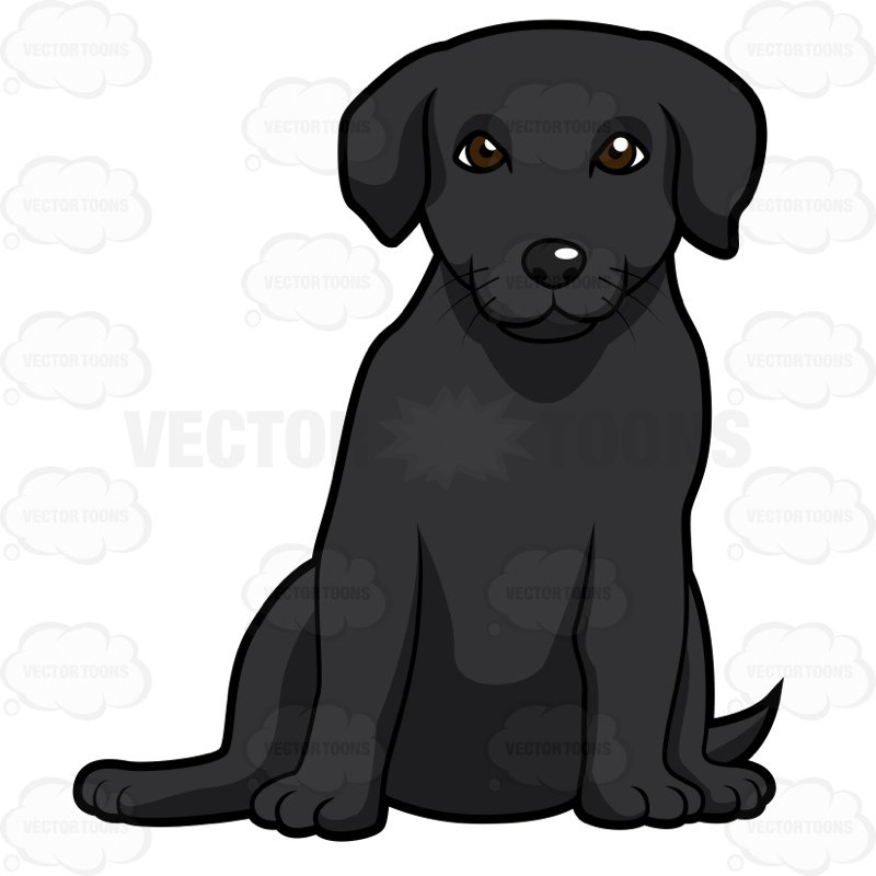 The best free Labrador vector images. Download from 64 free vectors of