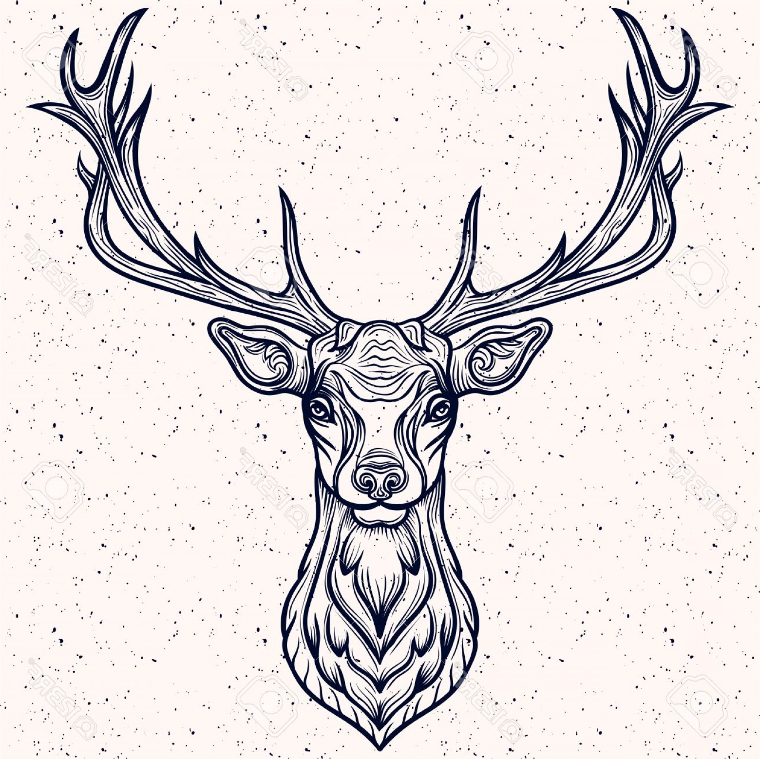 Buck Head Vector At Getdrawings Free Download