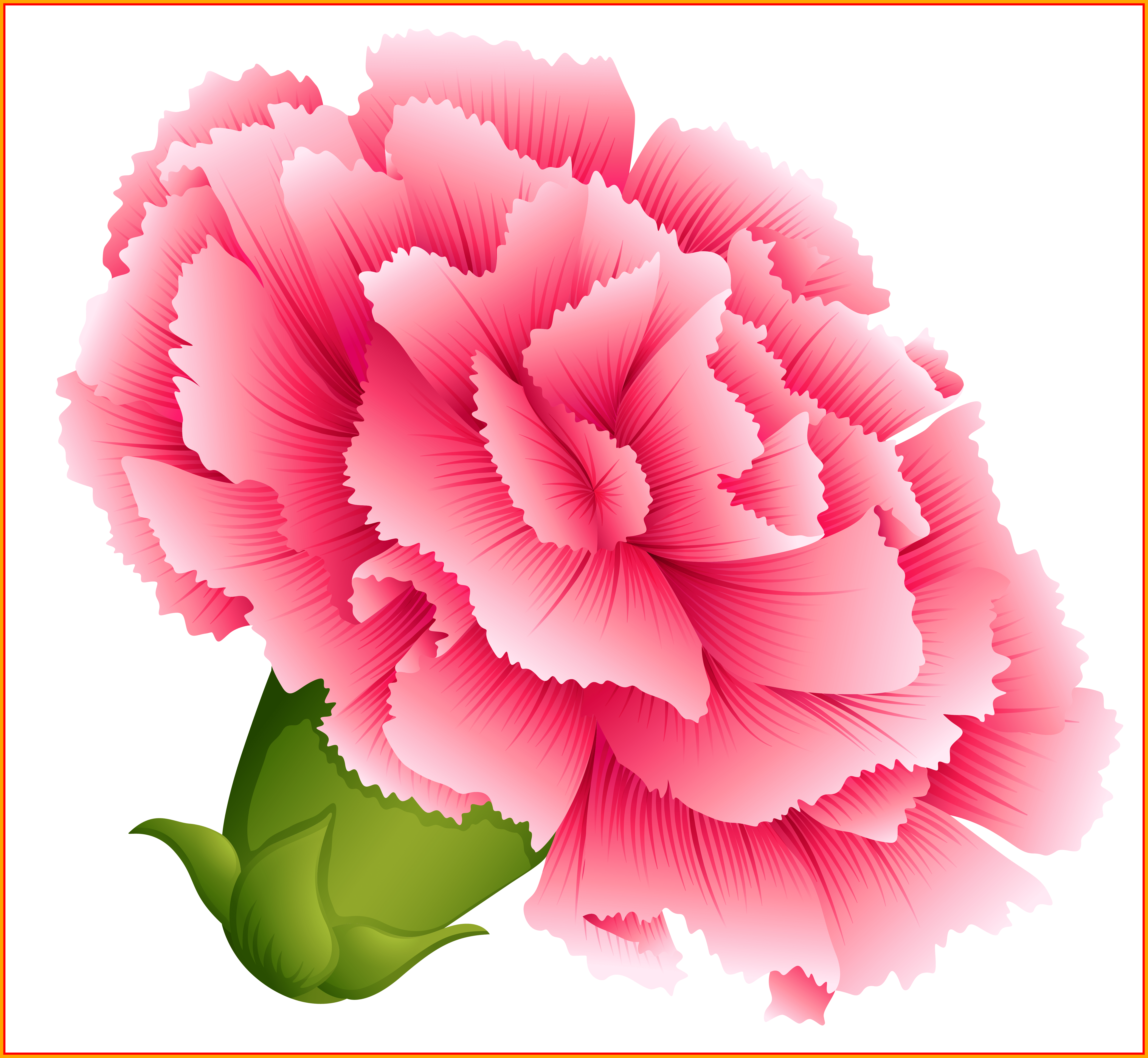 Carnation Vector at GetDrawings | Free download