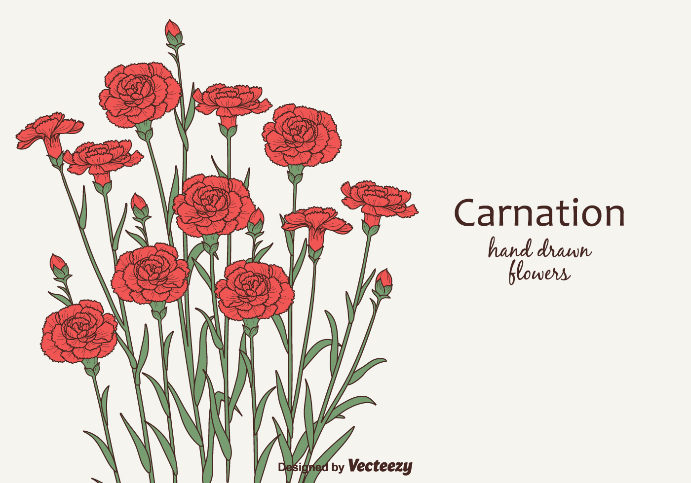 43. Found. vector images for 'Carnation'. 