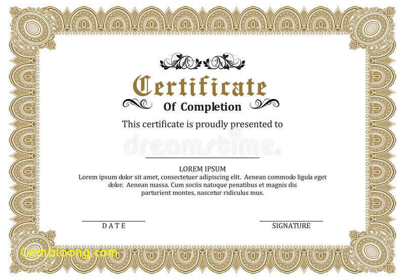 the-best-free-certificate-vector-images-download-from-480-free-vectors