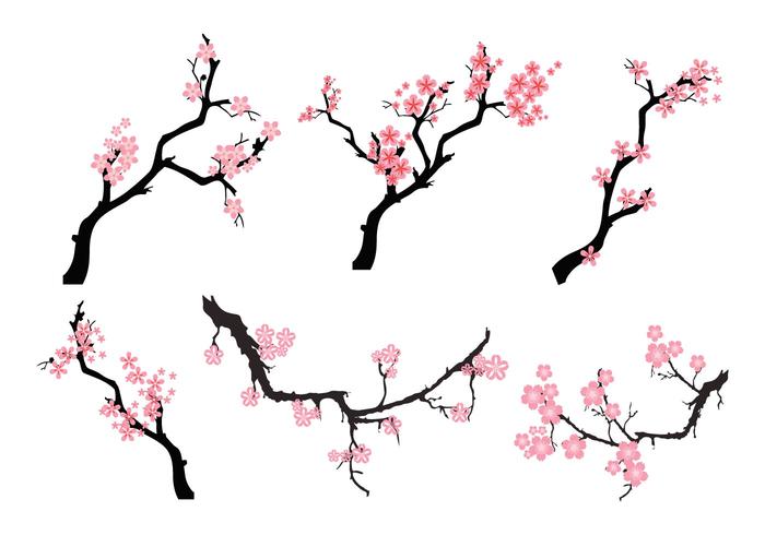 Cherry Blossom Branch Vector at GetDrawings | Free download