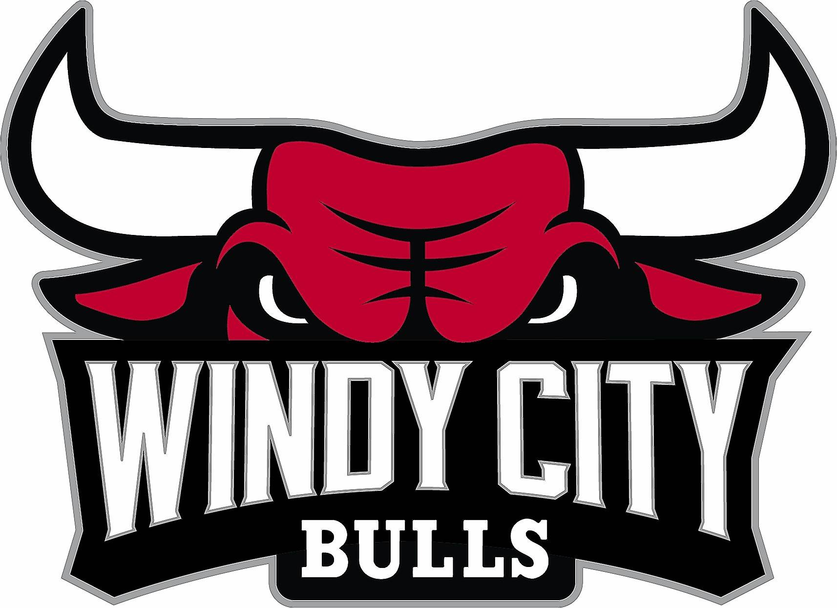 Chicago Bulls Vector at GetDrawings Free download