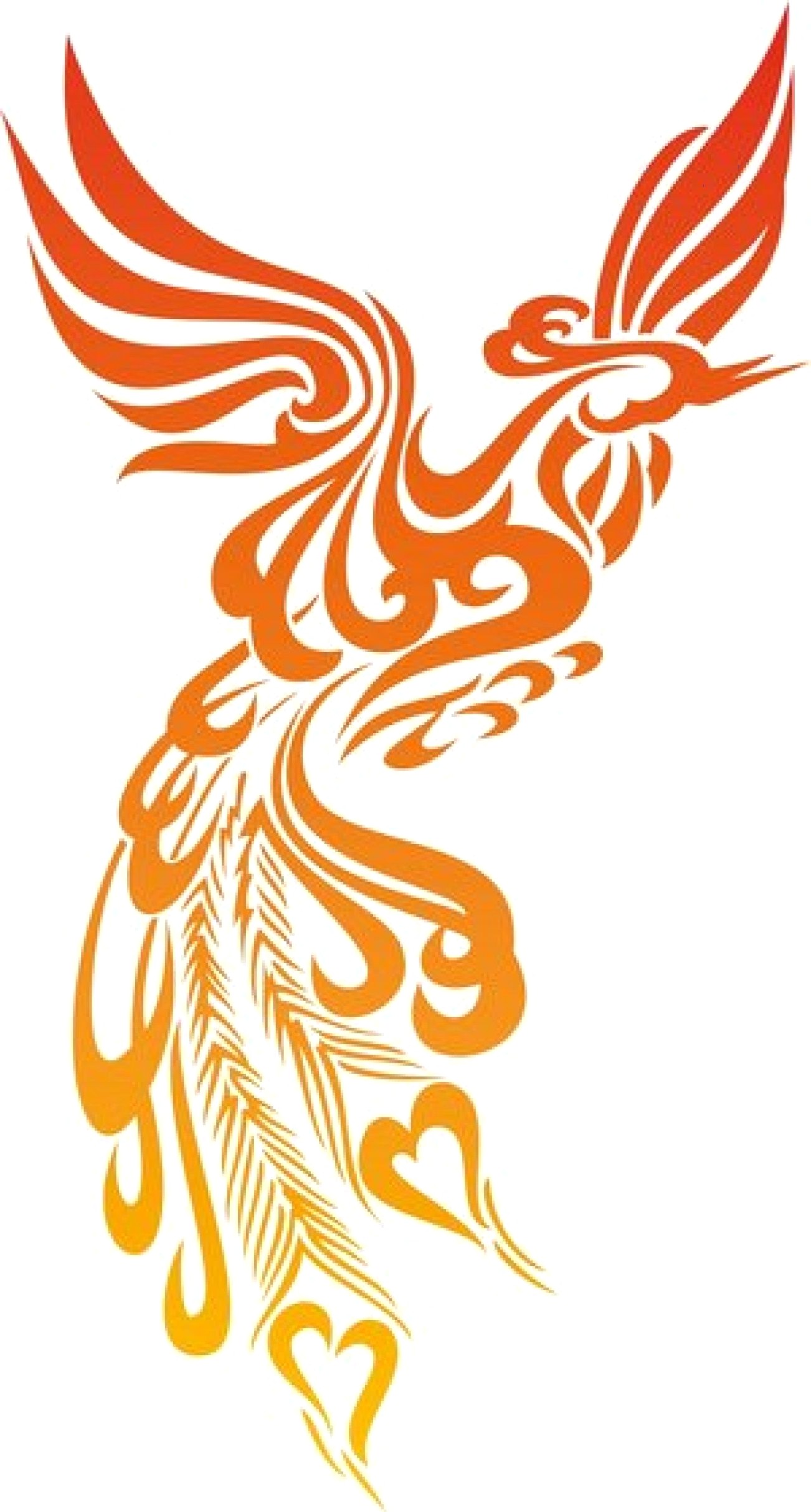 Chinese Phoenix Vector at GetDrawings Free download