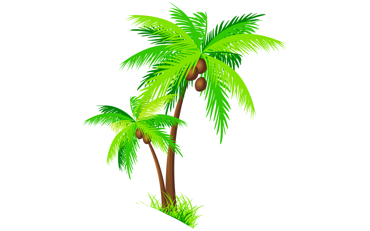 Coconut Tree With Coconut Vector Coconut Palm Trees Isolated On White