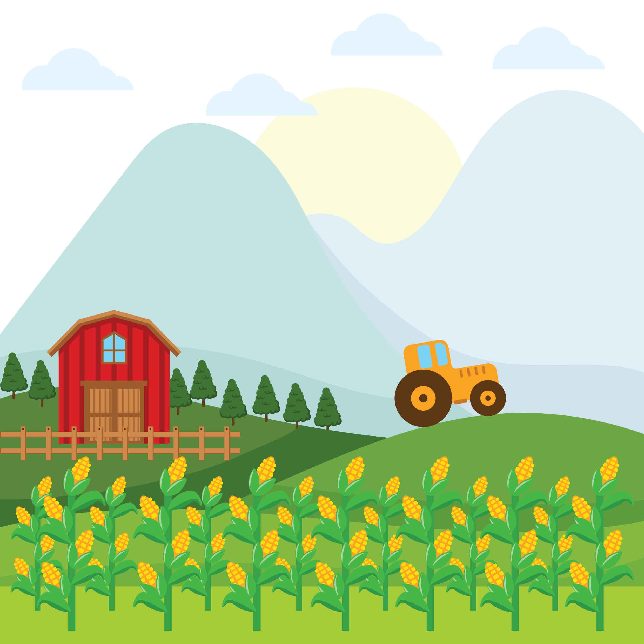 Corn Field Vector at GetDrawings Free download