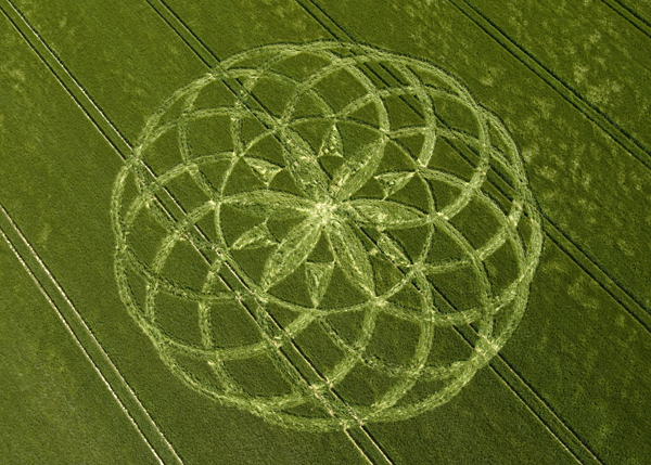 Crop Circle Vector At Getdrawings Free Download