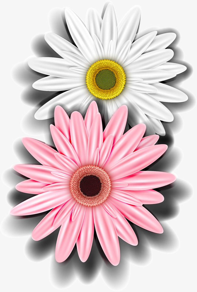 Daisy Flower Vector
 Daisy Flower Vector at GetDrawings