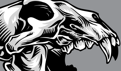 Dog Skull Vector at GetDrawings | Free download