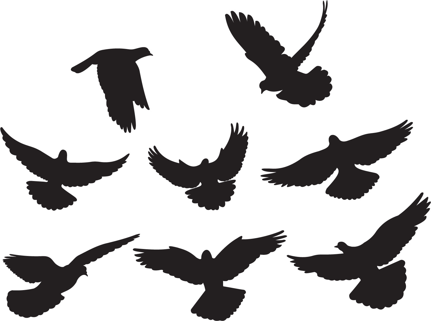 Dove Vector Png at GetDrawings | Free download