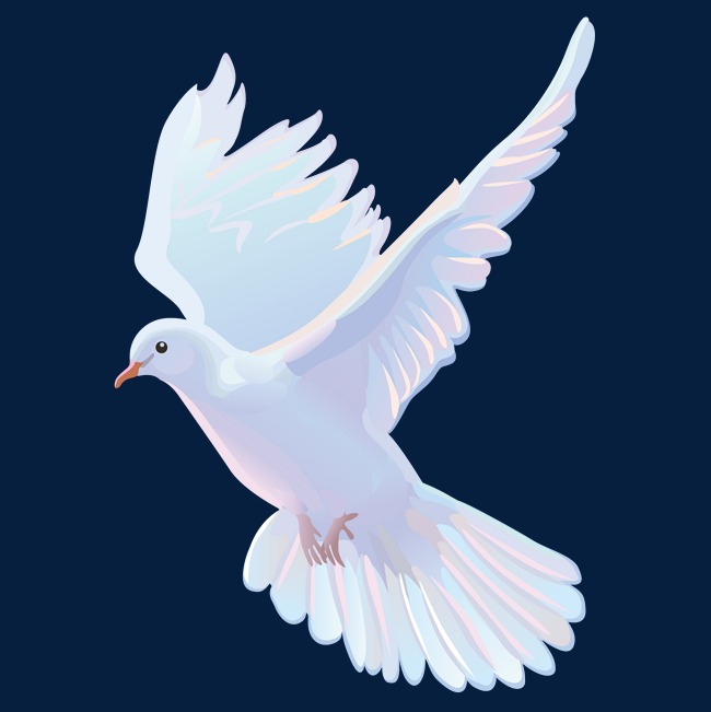 Dove Vector Png at GetDrawings Free download