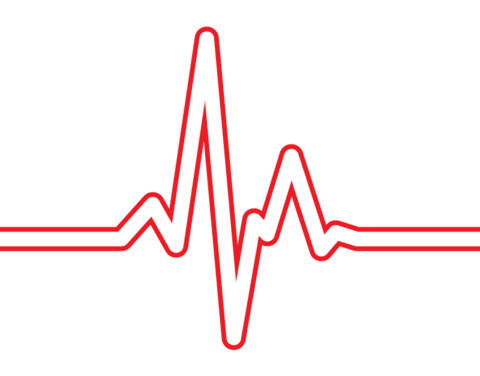 Ekg Vector At GetDrawings Free Download