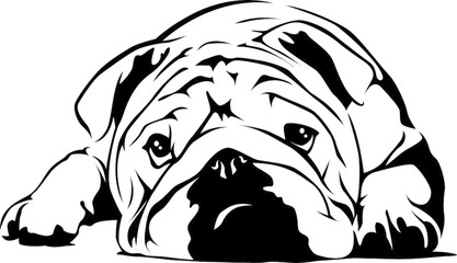 English Bulldog Vector at GetDrawings | Free download