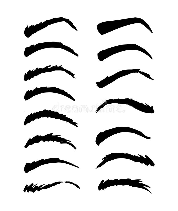 Eyebrow Vector At GetDrawings | Free Download