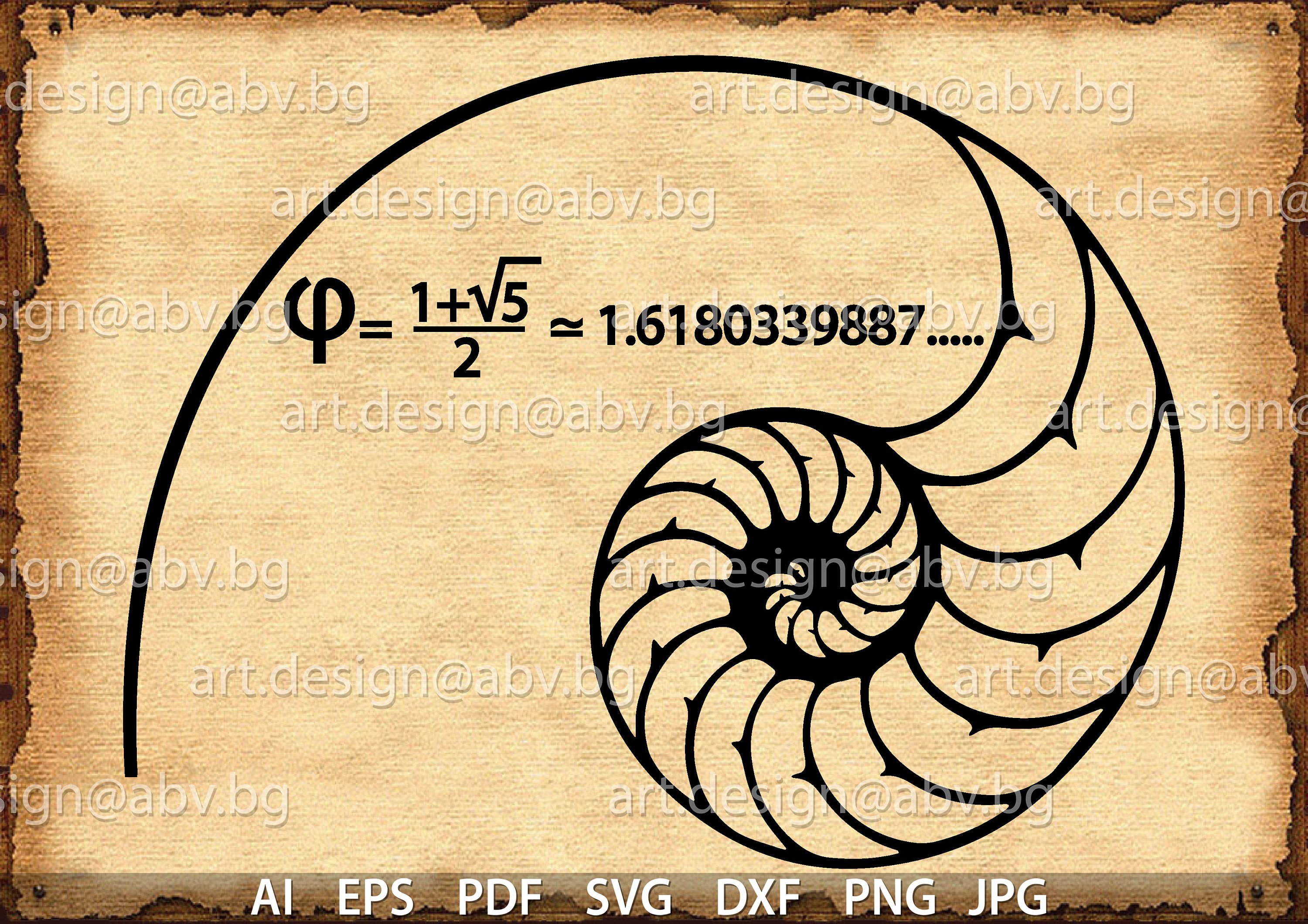 Fibonacci Spiral Vector at GetDrawings Free download